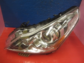 Infiniti - Headlight - HID XENON